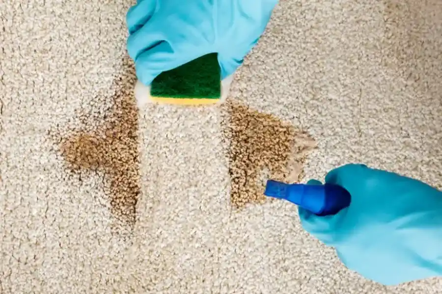 How Professional Cleaning Restores High-traffic Carpet Areas Overland Park, KS How Professional Cleaning Restores High-traffic Carpet Areas Overland Park, KS