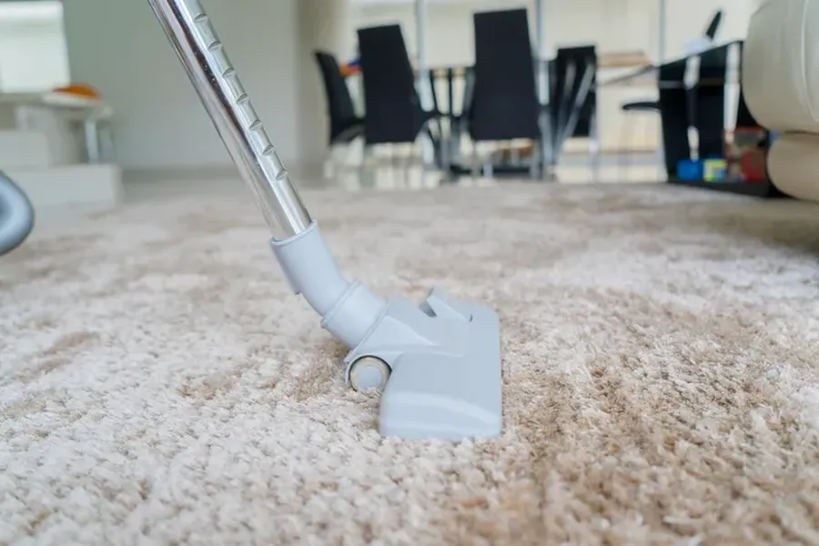 Why Regular Cleaning Prevents Mold And Odor In Carpets in Overland Park, KS Why Regular Cleaning Prevents Mold And Odor In Carpets in Overland Park, KS